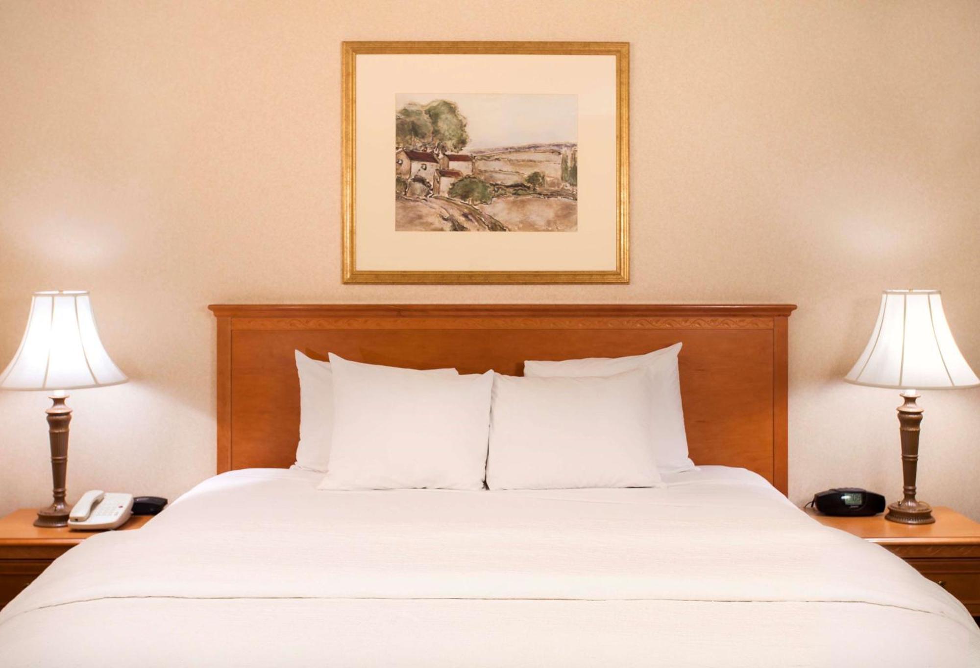 Hampton Inn & Suites Еддісон Екстер'єр фото